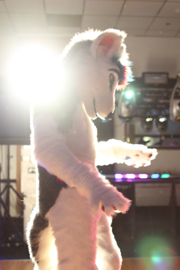 ScotiaCon 2012, Dances