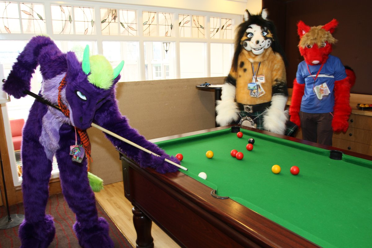 ScotiaCon 2012, Activities