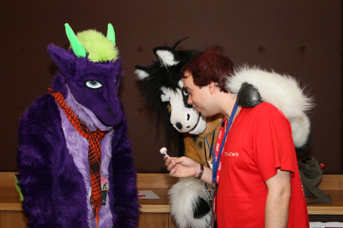 ScotiaCon 2012, Activities