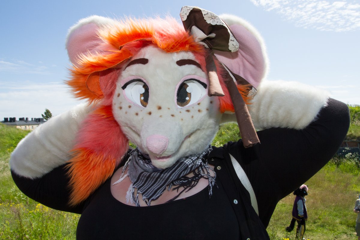 Suomenlinna furmeet