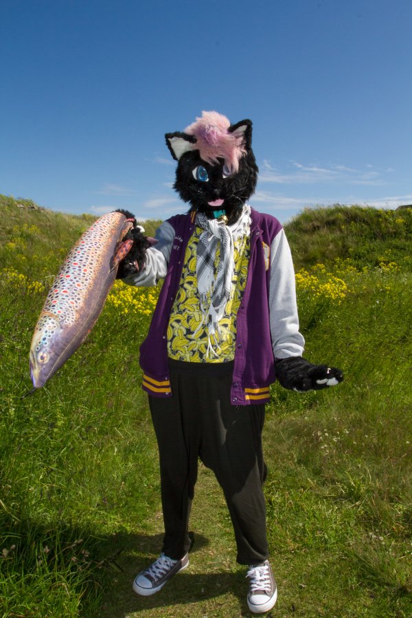 Suomenlinna furmeet