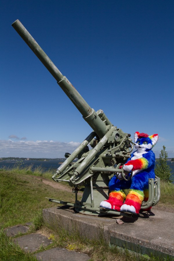 Suomenlinna furmeet