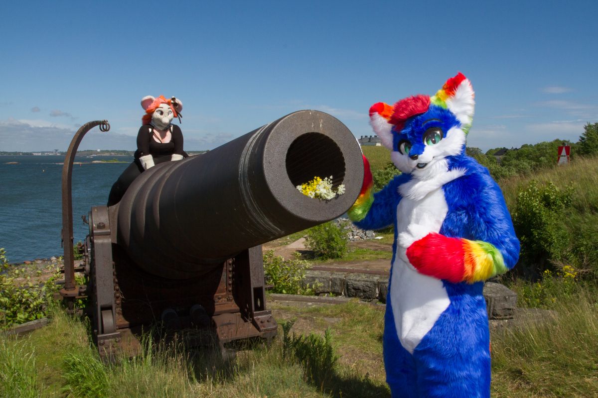 Suomenlinna furmeet