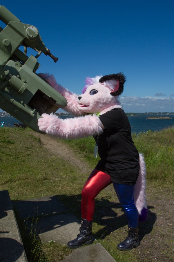 Suomenlinna furmeet