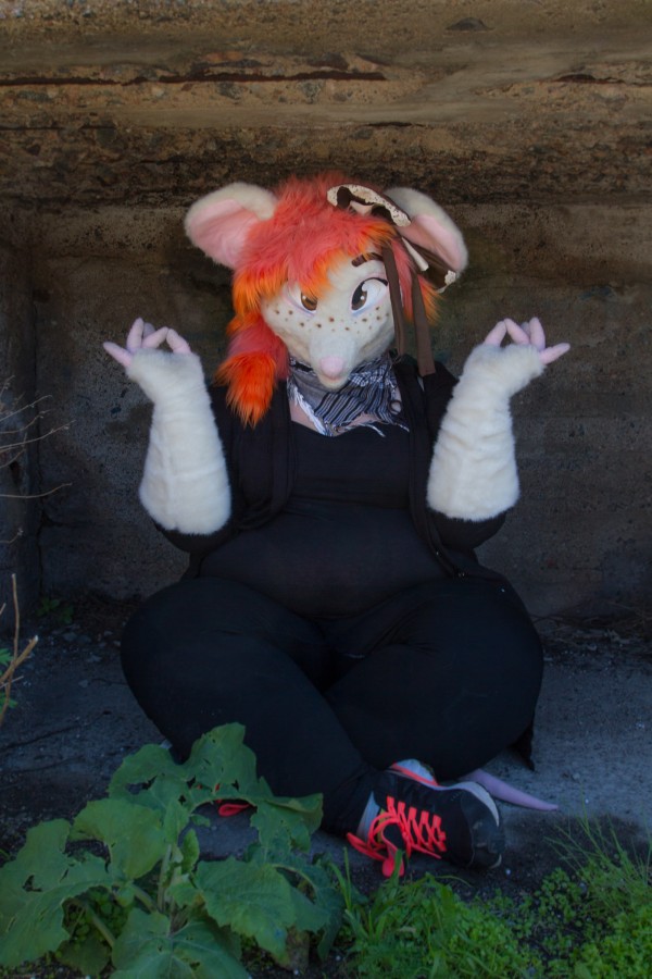Suomenlinna furmeet