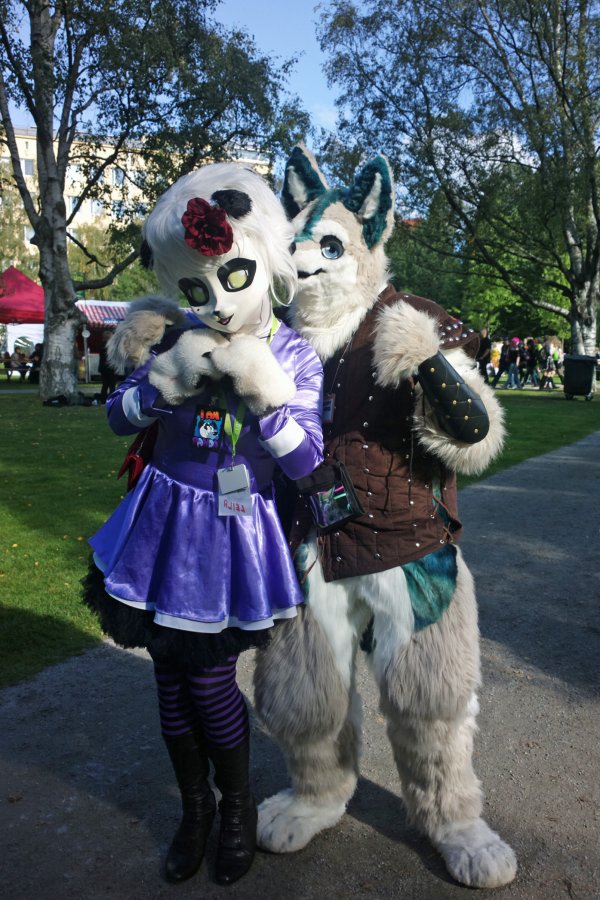 Tracon 9, Furries