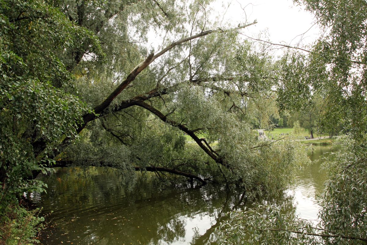 Tracon 9, Outdoor photos