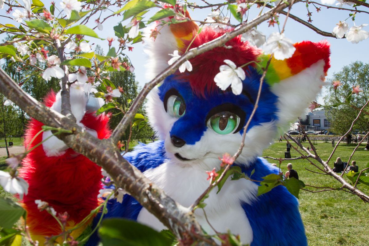 TTK Hanami 2018