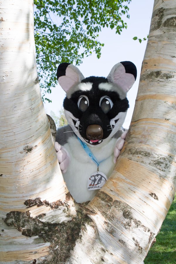 TTK Hanami 2018
