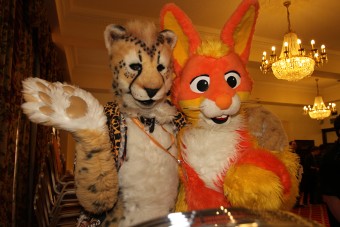 cfz2010