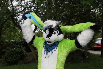 cfz2010