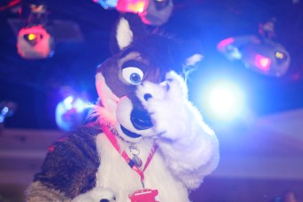 cfz2010