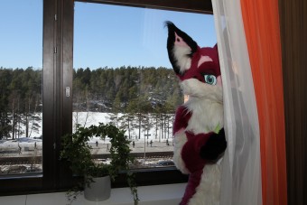 nfc2013