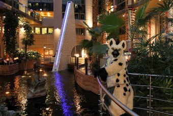 NordicFuzzCon 2017