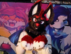 FinFur Animus 2016
