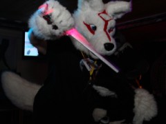 FinFur Animus 2016