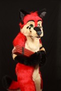 FinFur Animus 2017