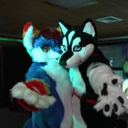 FinFur Animus 2017