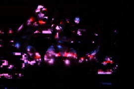 FinFur Animus 2017
