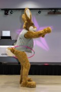 FinFur Animus 2018