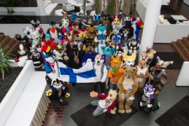 FinFur Animus 2019