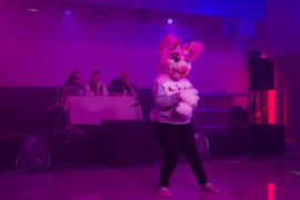 FinFur Animus 2019