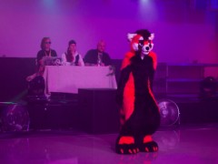 FinFur Animus 2019