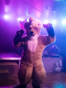 FinFur Animus 2023