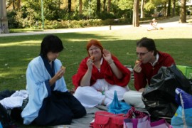 Belgian Cosplay Team picnic