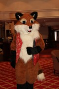 ConFuzzled 2010