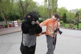 ConFuzzled 2010