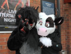 ConFuzzled 2010