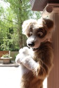 ConFuzzled 2010