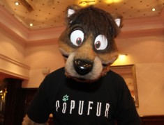 ConFuzzled 2010