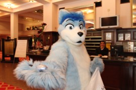 ConFuzzled 2010