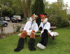 ConFuzzled 2010