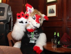 ConFuzzled 2010