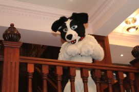 ConFuzzled 2010