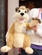 ConFuzzled 2010