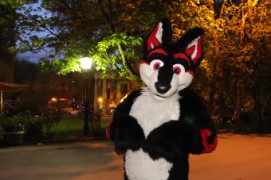 ConFuzzled 2010