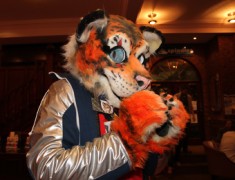 ConFuzzled 2010