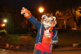 ConFuzzled 2010