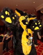 ConFuzzled 2010