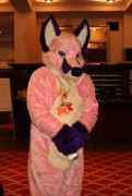 ConFuzzled 2010