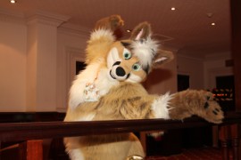 ConFuzzled 2010