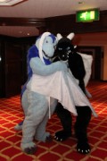 ConFuzzled 2010