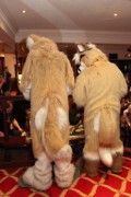 ConFuzzled 2010