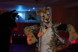 ConFuzzled 2010