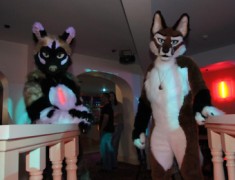 ConFuzzled 2010