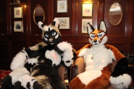 ConFuzzled 2010